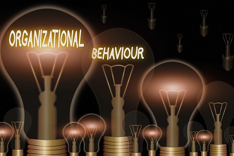 BUS 301: Organizational Behavior